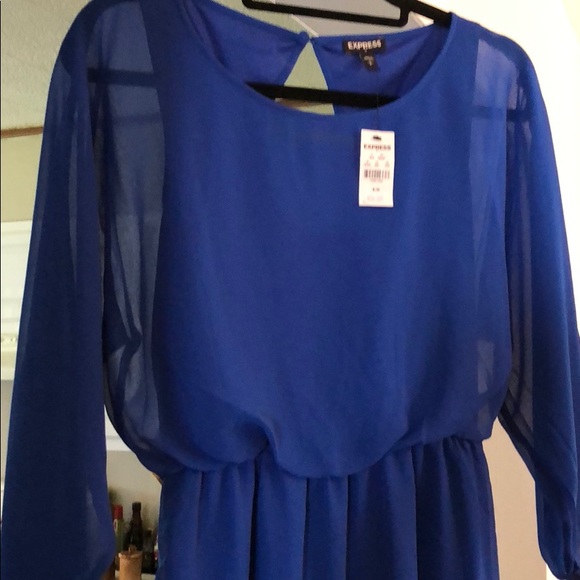 Royal blue Express dress - Picture 6 of 6